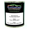 Auto Paint Depot Touch Up Paint for Mercury Milan,Montego,Monterey ...