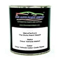 Auto Paint Depot Touch Up Paint for Saturn Aura,OutlookLight Titanium