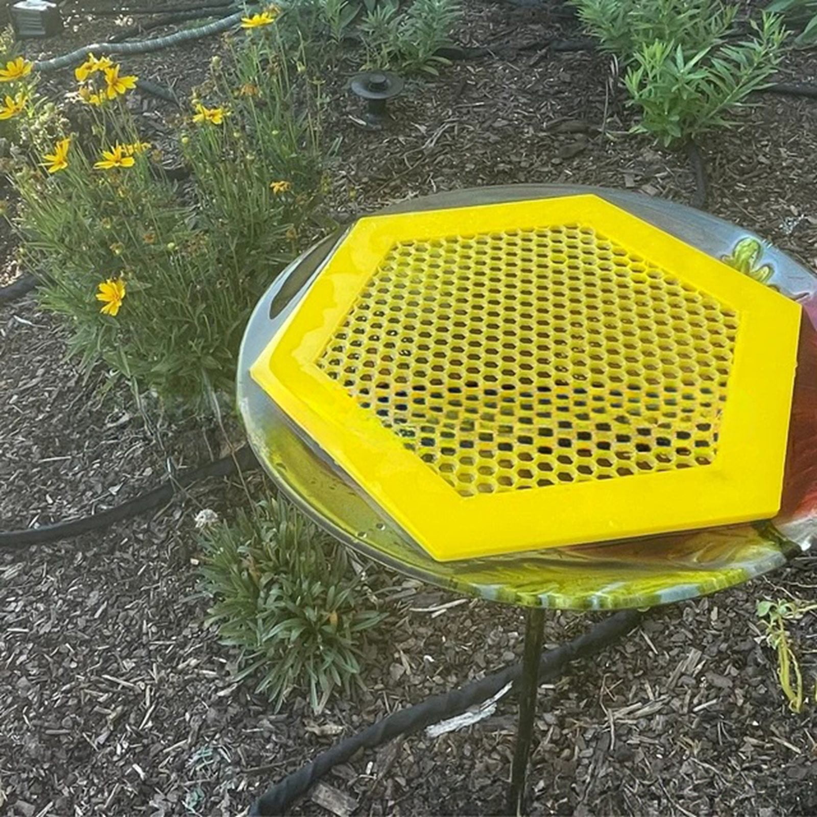 Auto Pet Feeder Large Dog 3 Water Dog Station Collapsible Water Bowl