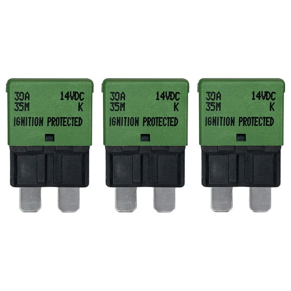 30 Amp Automotive Fuses