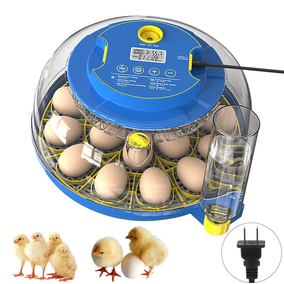 Auto Rotate Eggs Hatchers With Digitals Thermostat 360 Degrees Clear Views Design For 18 Poultry Eggs Easy Assembly