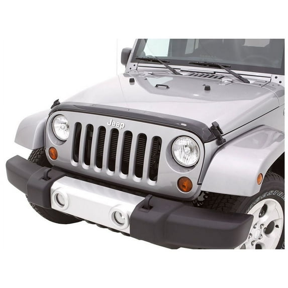 Auto Ventshade (AVS) by RealTruck Aeroskin / Hood Protector