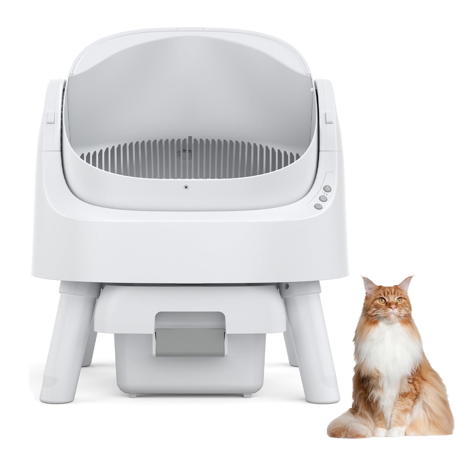 Best Self Cleaning Litter Box for Multiple Cats: Top Picks