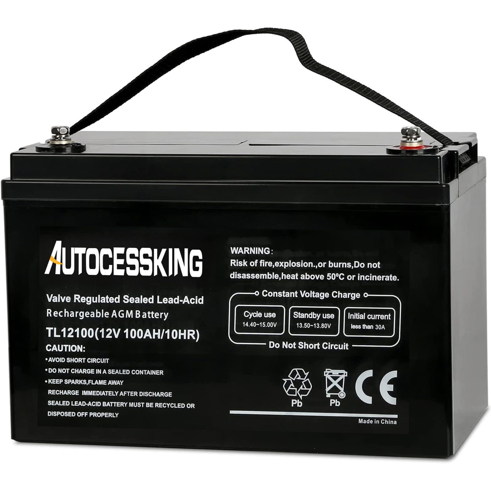 Chelsea Rv Battery Autocessking 12V 100 Ah Deep Cycle Sealed Battery for RV, Camping ...