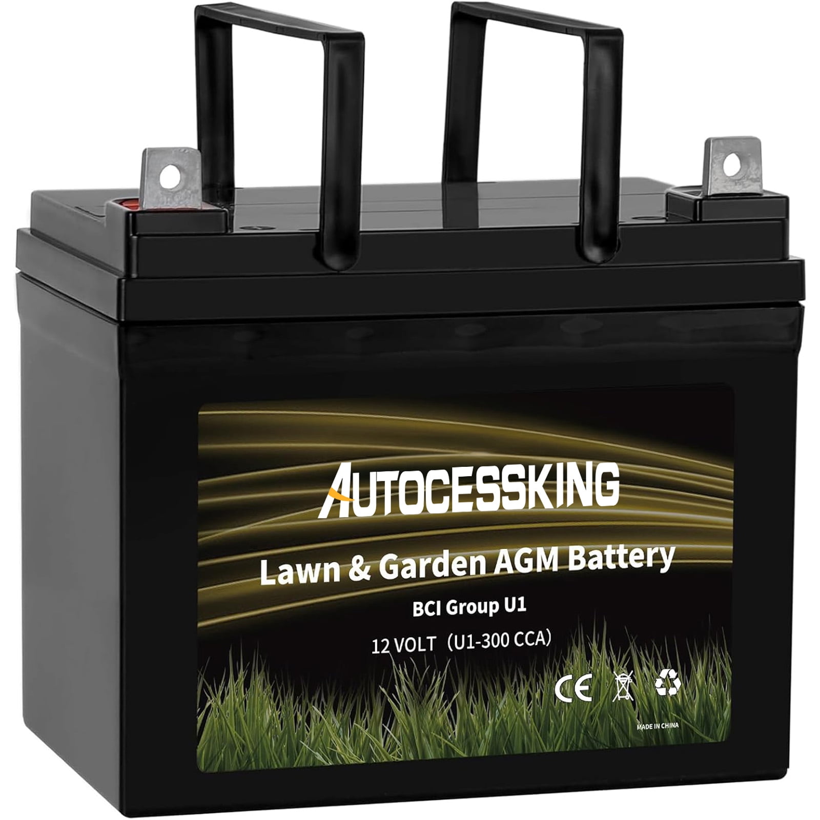 Makadam Manifest Bekommen Rasenmäher Batterie 12v 24ah Gepard