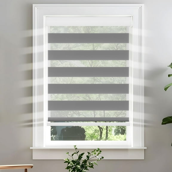 Autoez Cordless Zebra Blinds for Windows Roman Shades Light Filtering Roller for Outdoor/Indoor Windows Privacy, Gray, 60" x 72"