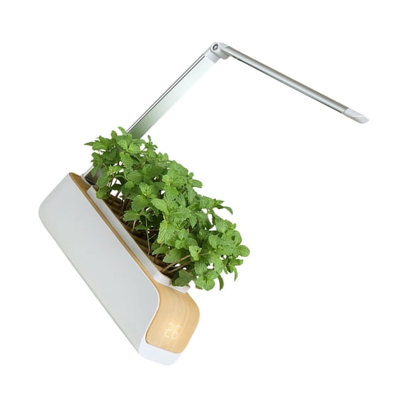 Lynono Automated Plant Growing Set With Full Spectrum Lighting And Height Adjustable Lamp For Vegetables Herbs Home Gardening