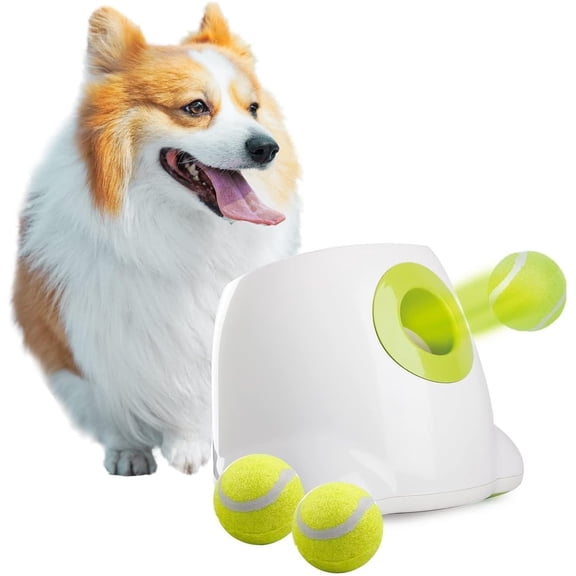 Automatic B Launcher Dogs Interactive Puppy Pet B Indoor Thrower Fetch Machine, 3 Bs Included (2 inch) to Medium Dogs