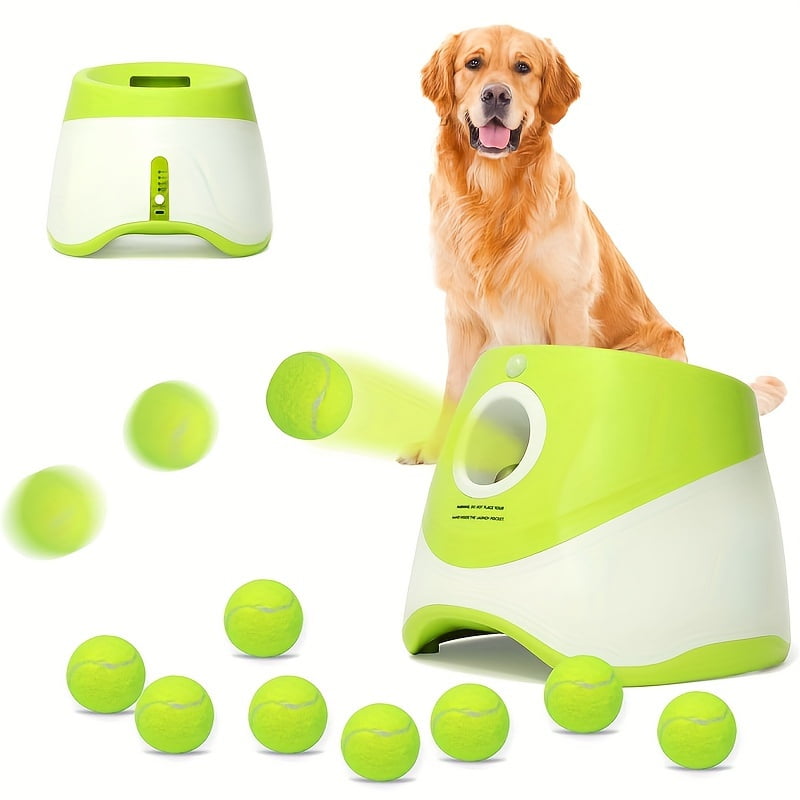 Automatic Ball Thrower for Dogs, Indoor/Outdoor small Dog Ball Launcher