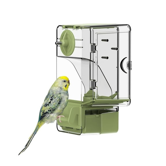 Automatic Bird Feeder, Bird Cage Feeder with Perch Multi-Functional Holder for Fruits Vegetables for Parakeet Canary Cockatiel Finch (Green)