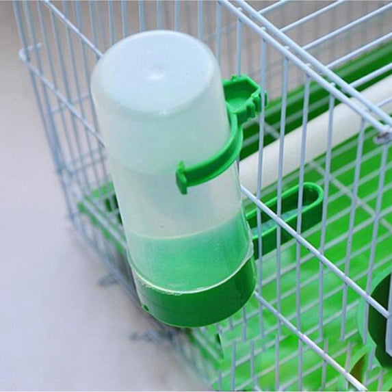 Automatic Bird Water Drinker and Feeder for Parrots, Cockatiels ...