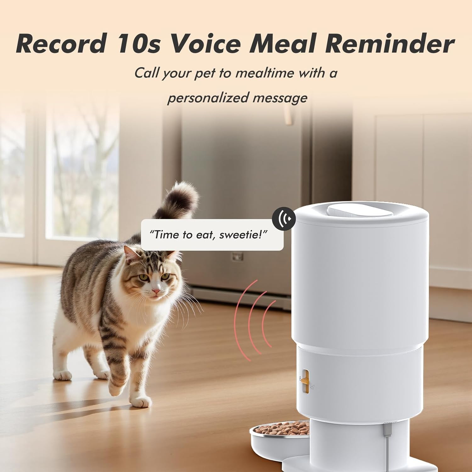 Automatic Cat Feeder - 5L Anti-Clog Dispenser with Voice Recording, Dual Power & Stainless Steel Bowl for Cats and Dogs