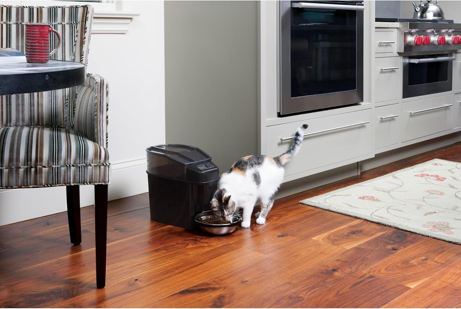 Automatic Cat Feeder - Healthy Pet Simply Feed - Automatic Pet Feeder for Cats & Dogs - Timed Pet Feeder with Programmable Portion Control - Holds 24 Cups of Dry or Semi-Moist Dog or Cat Food