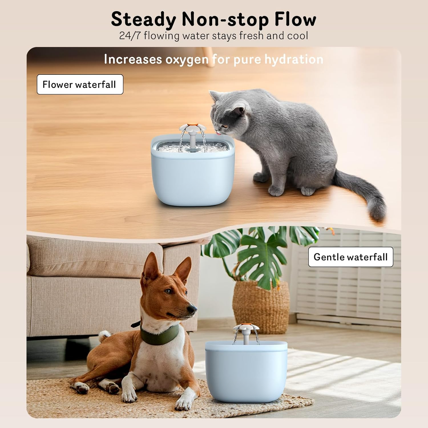 Automatic Cat Feeder and Water Dispenser FW1, Programmable Pet Food Dispenser with Wire or Battery Power, 4 Meals Daily, Portion Control, 10s Voice Recorder, Locking Lid, Blue