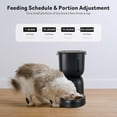 thumbnail image 1 of Automatic Cat Feeder and Water Dispenser FW1 with Timer, Voice Recorder, Double-Lock Lid for Cats, 1 of 6