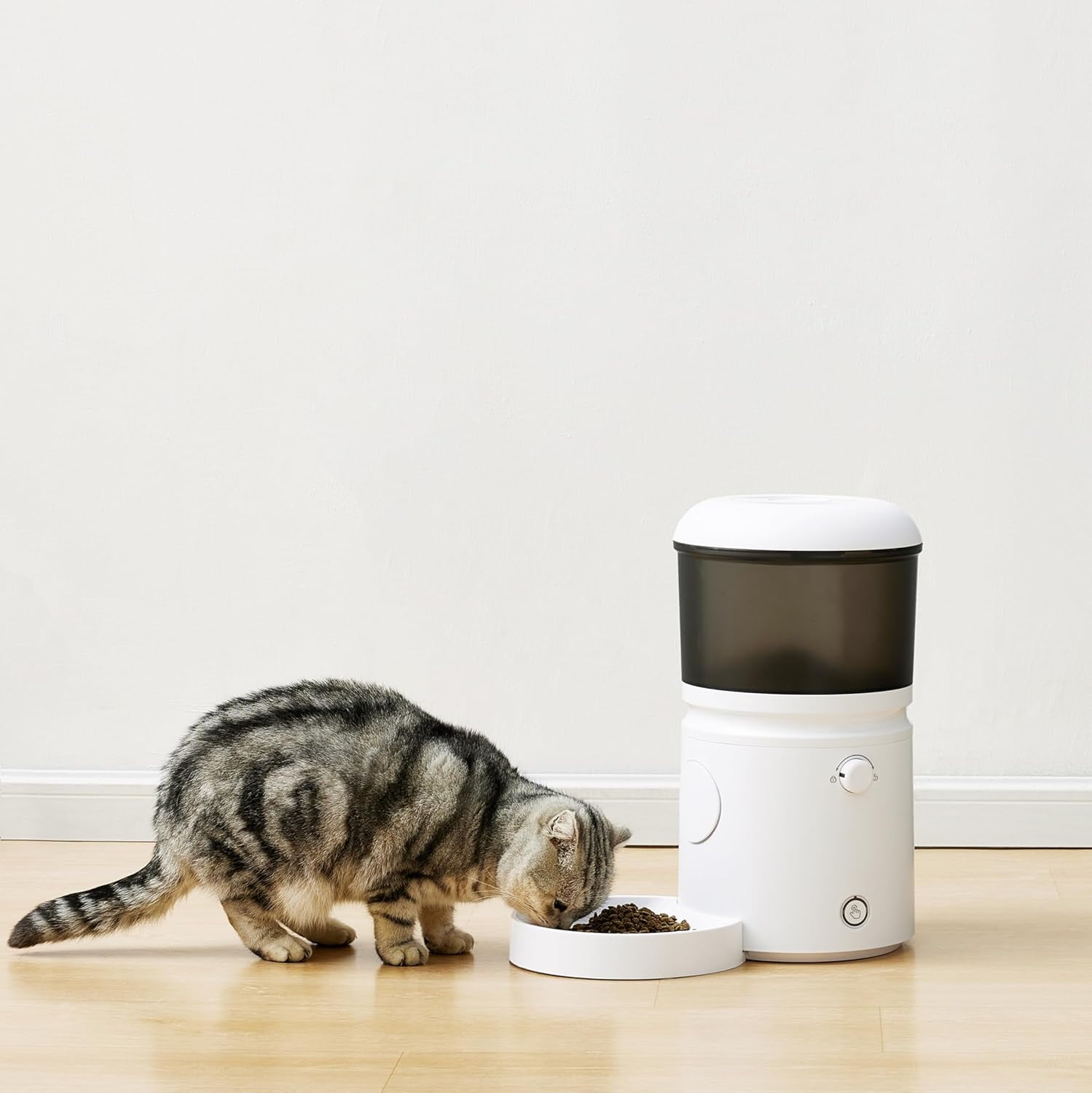 Automatic Cat Feeder with Programmable Voice Recorder, Slow Feed, Portion Control, 4L Capacity, White