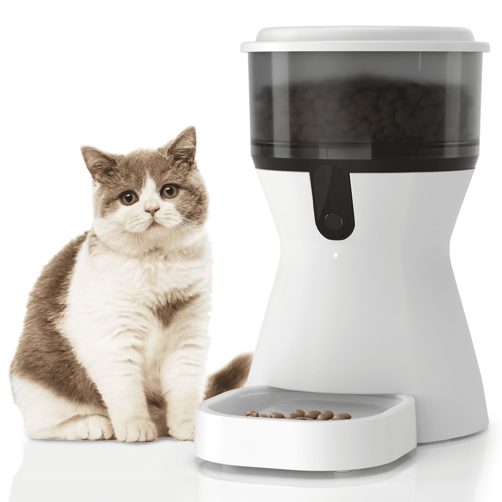 Cheap automatic cat feeder hotsell