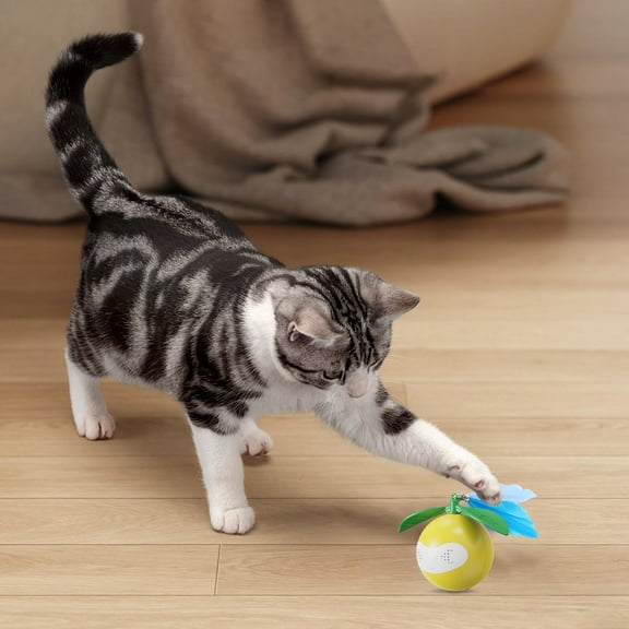 Automatic Cat Toy Ball, Laser and Feather Interactive Puzzle, Motion-Activated Play Modes, USB Rechargeable, Safe ABS