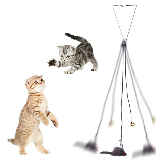 Automatic Cat Toy with Adjustable Elastic Rope Pet Toy Door Window