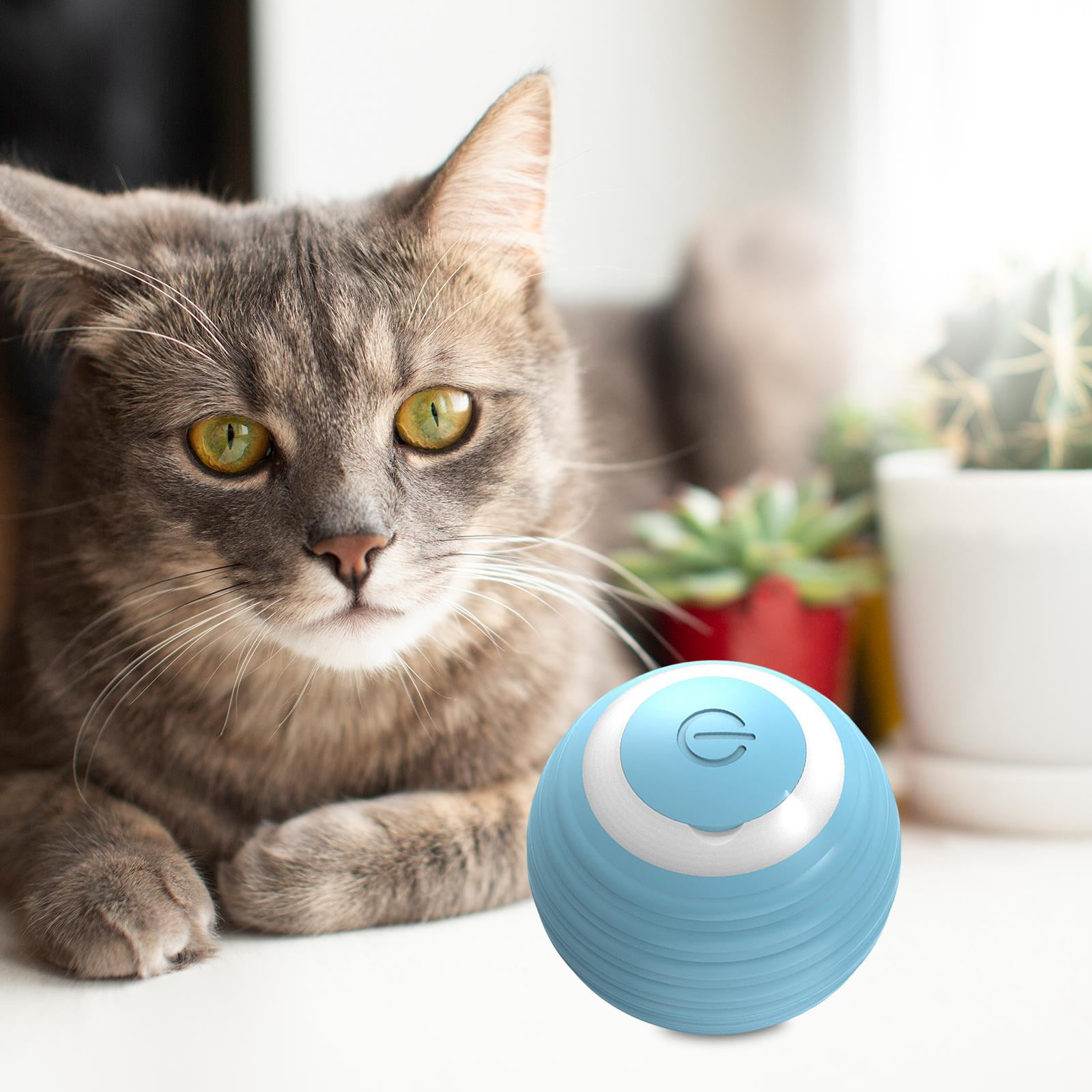 Rolling ball cat toy 2025