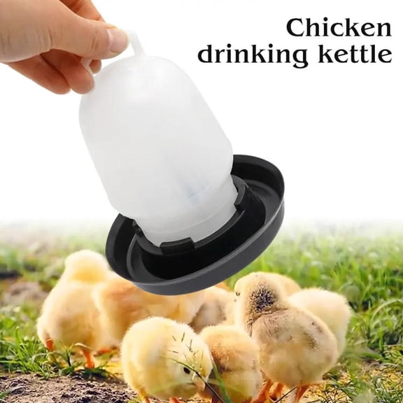 Automatic Chicken Drinker, 0.75L Poultry Waterer, Plastic Chick Hen Food Water Accessories