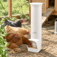 Automatic Chicken Feeder 7lb Large PVC No Waste Poultry Feeding ...