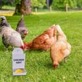 thumbnail image 1 of Automatic Chicken Grit Feeder & Oyster Shell Dispenser – Hanging Poultry Feeder Trough, No Waste Gravity Design for Chicken Coop, 3D Printed Durable Plastic,for Healthy Chickens, 1 of 6