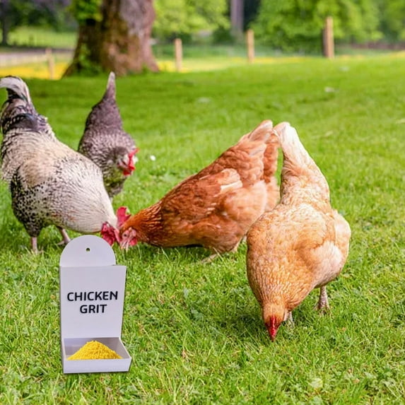 Automatic Chicken Grit Feeder & Oyster Shell Dispenser – Hanging Poultry Feeder Trough, No Waste Gravity Design for Chicken Coop, 3D Printed Durable Plastic,for Healthy Chickens