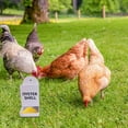 thumbnail image 1 of Automatic Chicken Grit Feeder & Oyster Shell Dispenser – Hanging Poultry Feeder Trough, No Waste Gravity Design for Chicken Coop, 3D Printed Durable Plastic,for Healthy Chickens, 1 of 6