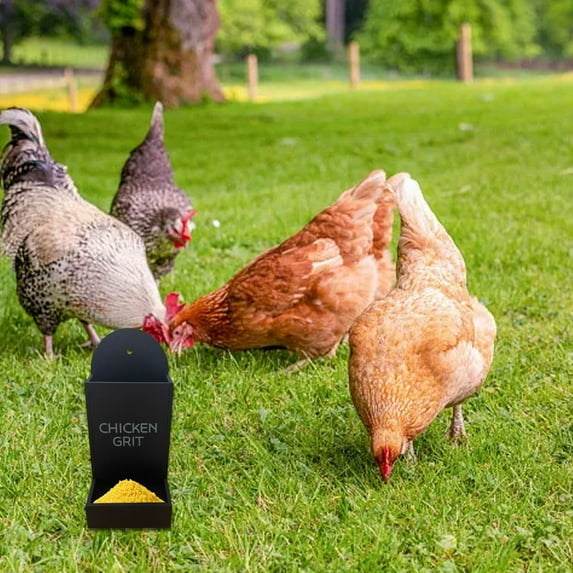 Automatic Chicken Oyster Shell & Grit Feeder – Heavy Duty Metal Poultry Feeder for Coop, Hanging Gravity Dispenser for Egg-Laying Hens, No-Waste Design – Durable Chicken Coop Accessories (Gift Idea)