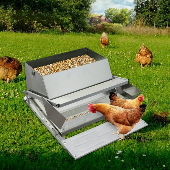 Automatic Chicken Treadle Feeder, 27 LB Large Galvanized Steel Poultry Feeder, Outdoor Use, No Waste, 10 Chickens for 11 Days, Metal Chicken Feeder Kit Suits Duck, Bantams, Pheasants