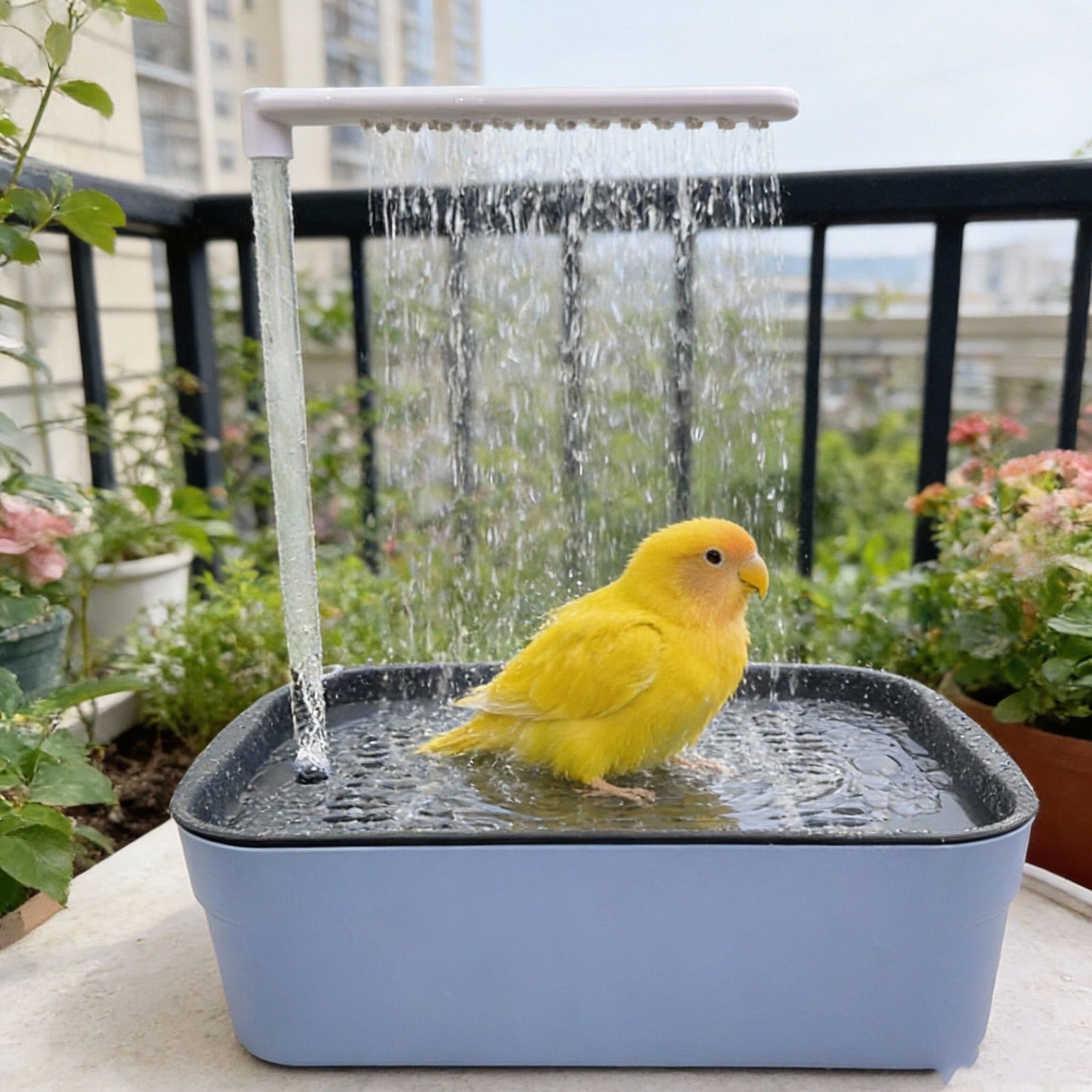 Automatic Circulating Water Bird Bathing Basin Electric Shower Room for Parrots Cockatiels and Small Birds for Healthy Hygiene, 12x9 Inch