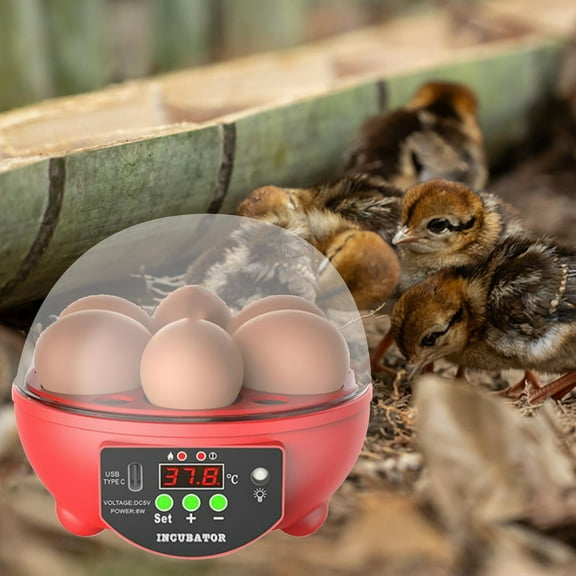 Automatic Digital Poultry ing Machine, Automatic Egg Turner Temperature Control Small 6 Egg Incubator for Chicken Ducks Quail Red
