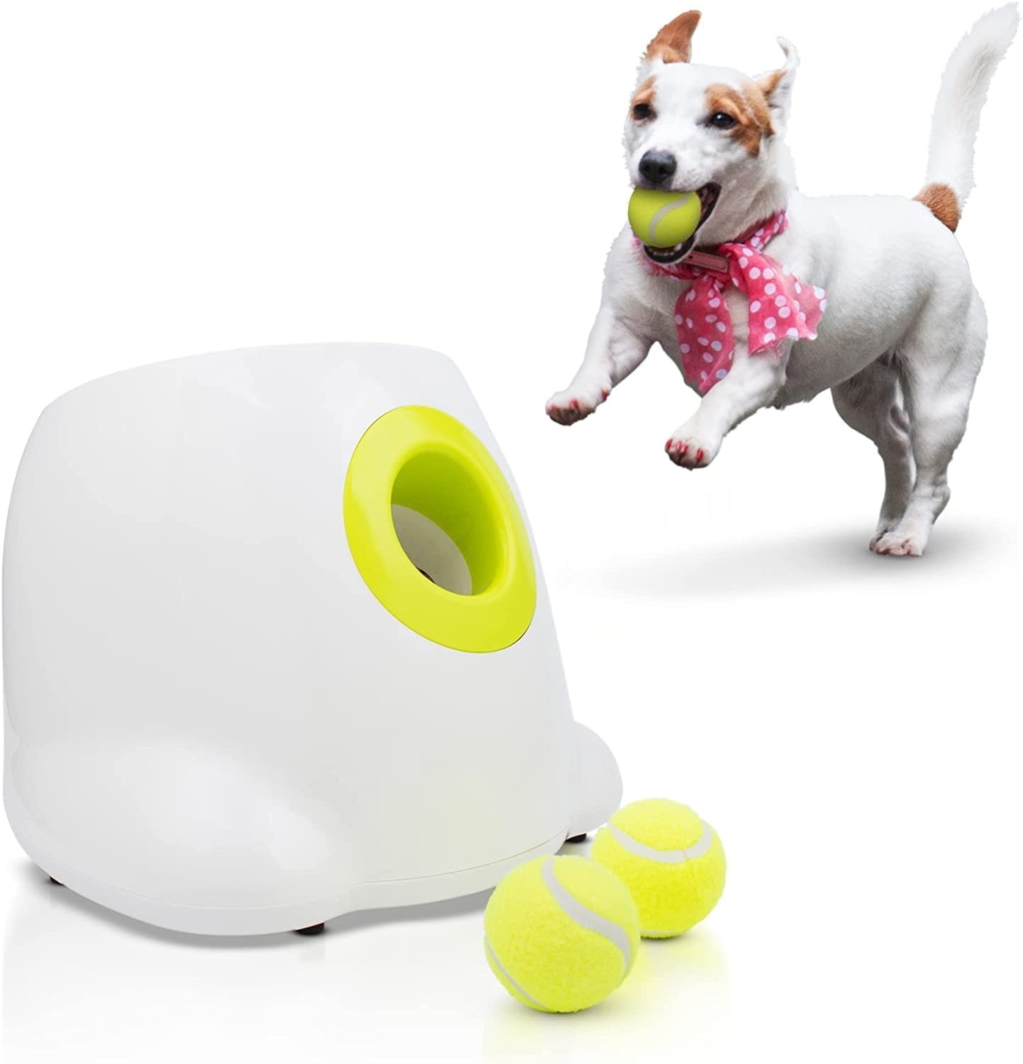 Ball thrower for dogs walmart best sale