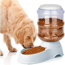 Outdoor Dog Feeder, Galvanized Gravity Pet Feeder for Dogs, Large