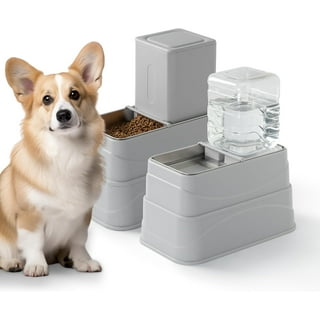Stainless Steel Water Buckets Dogs