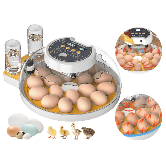 18 Egg Incubator with Automatic Egg Turning, Humidity Control, Temperature Control, LED Candler, 360 View Transparent Lid, for Chickens, Ducks, Birds, Quails
