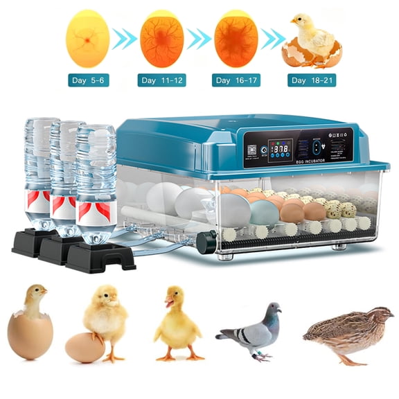 Automatic Egg Incubator, 36 Eggs Incubator for Hatching Eggs with Automatic Egg Turning, Temperature Control and Humidity Display, Poultry Egg Incubator Egg Candler for Chicken Eggs, Quail Eg