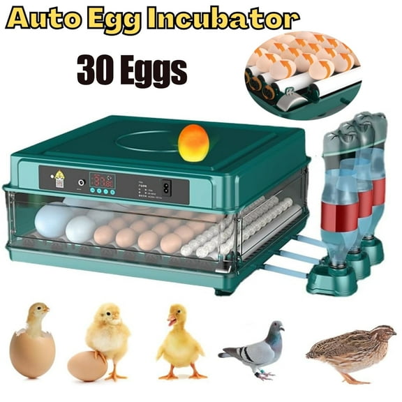 Automatic Egg Incubator,Egg Digital Poultry Hatcher Machine ith Automatic Egg Turning, Temperature & Humidity Control, Efficient LED Lighting for Chicken Geese Ducks Pigeons Quails