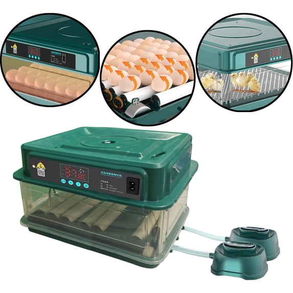 Automatic Egg Incubator Poultry Hatcher Hatching Machine Removable Temperature Control Chick Incubator Hatching Eggs for Family Use Quail 12eggs