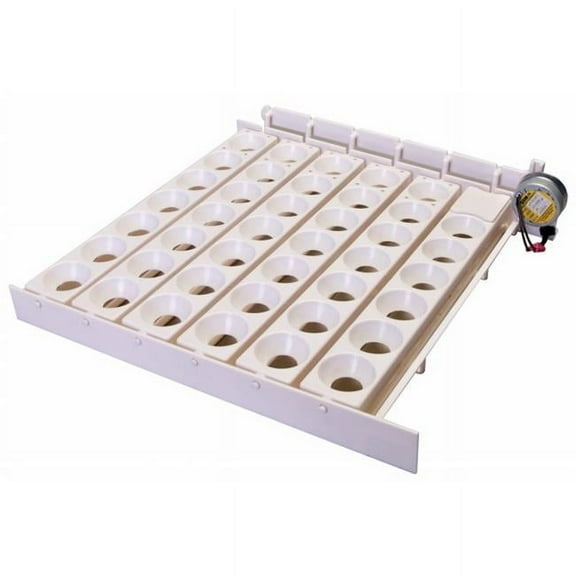 Automatic Egg Turner