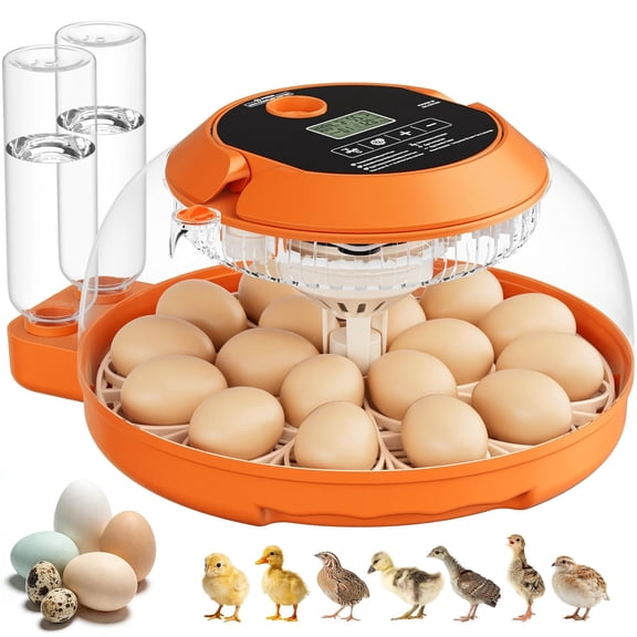 Automatic Egg Turning Incubator with Humidity Control for Hatching Chicken Duck Quail Eggs