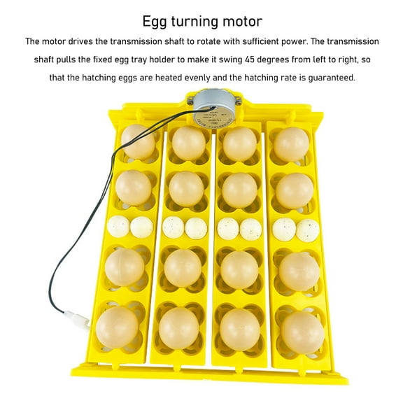 Automatic Egg Turning Tray For 16 Duck Eggs 16 Chicken Eggs & 72 Quail Eggs AC110V Incubator Tray