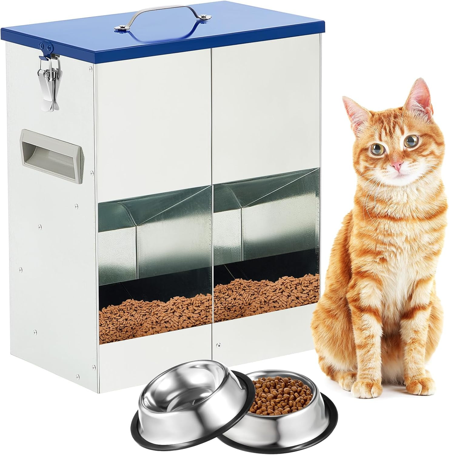 best cat litter dr elsey Dr. Elsey's Precious Senior Cat Litter, 8-lb