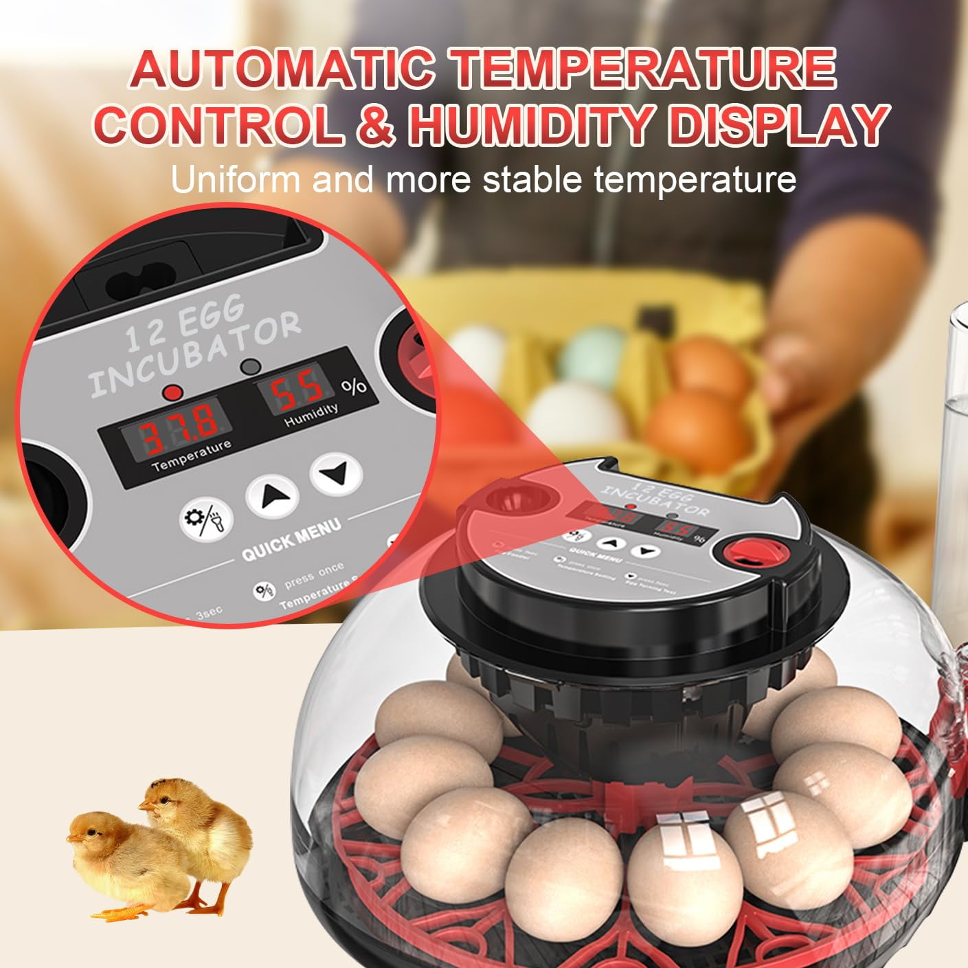 Automatic Incubator Kit for Chicken, Quail, , and Other Birds with ...