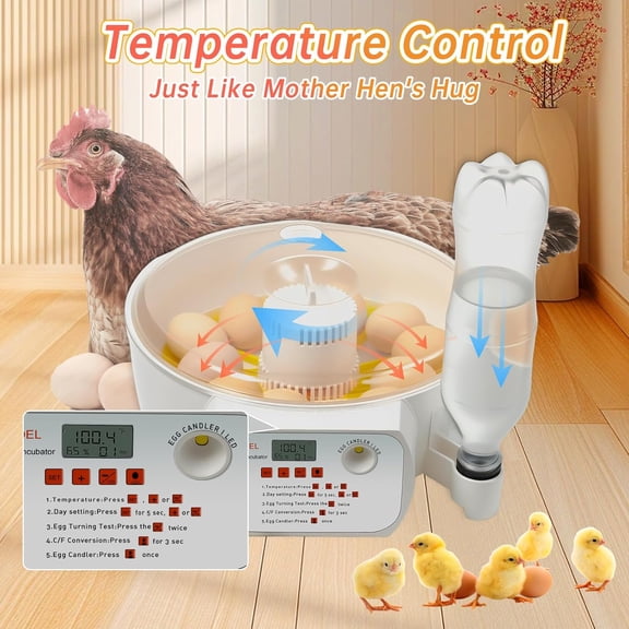 Automatic  Incubator for 12-32 Eggs with Auto Turner, Temp+Humidity Display, Built-in  Candler - Perfect for Beginners