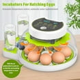 thumbnail image 1 of Automatic  Incubator for Hatching Chickens, Quails, Ducks, Parrots, Geese - Holds 8 Eggs, 1 of 6