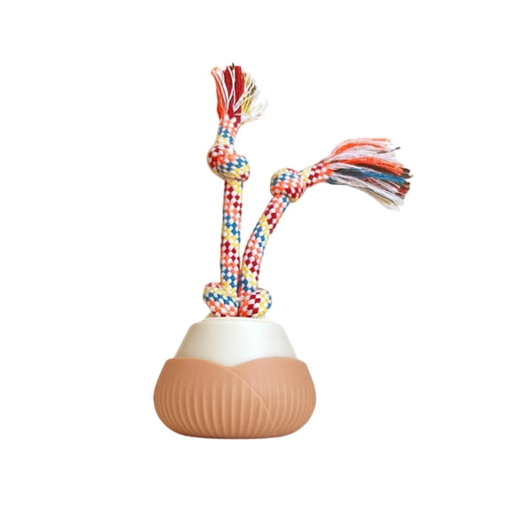 Automatic Interactive Cat Toy with Intelligent Motion Rolling Adjustable Speed USB Rechargeable for Indoor Play