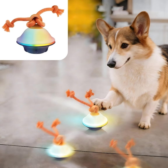 Automatic Interactive Smart Toy for Cats and Indoor Exercise with LED Lights - Rotating Behavior and Voice for Pet Play