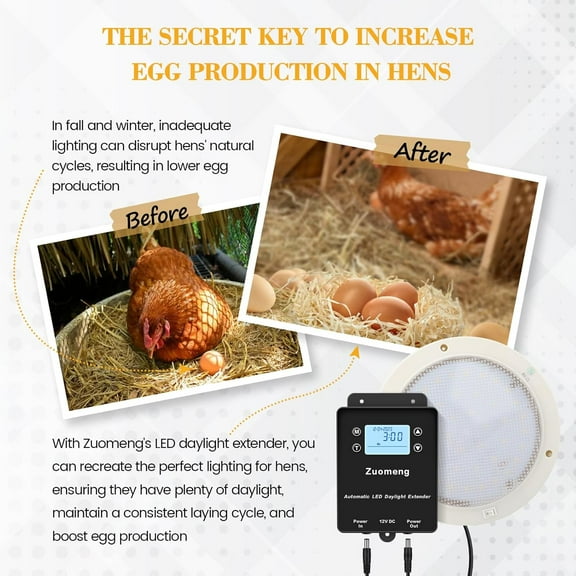 Automatic LED Daylight Extender,  Chicken Coop Light with Intelligent Programmable Timer, IP65 Waterproof, Boosts Light for Hens, Enhances Egg Production